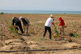 Қазақстанда орман-климаттық жағдайды жақсартуға бағытталған жоба іске қосылды - фото 6