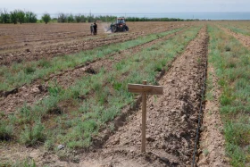 Қазақстанда орман-климаттық жағдайды жақсартуға бағытталған жоба іске қосылды - фото 7