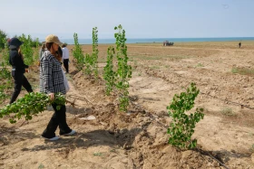 Қазақстанда орман-климаттық жағдайды жақсартуға бағытталған жоба іске қосылды - фото 8