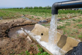 Қазақстанда орман-климаттық жағдайды жақсартуға бағытталған жоба іске қосылды - фото 9