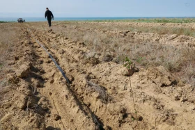 Қазақстанда орман-климаттық жағдайды жақсартуға бағытталған жоба іске қосылды - фото 10