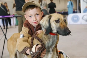 Елордада Astana Winner – 2025 халықаралық иттер көрмесі және «Қазақы тазы» монотұқымды көрмесі өтіп жатыр - фото 14