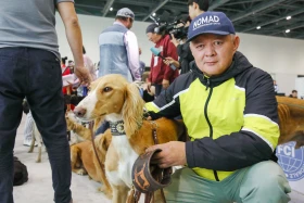 Елордада Astana Winner – 2025 халықаралық иттер көрмесі және «Қазақы тазы» монотұқымды көрмесі өтіп жатыр - фото 23