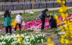 Алматының көктемгі гүлдері: қала құлпырып тұр - фото 9