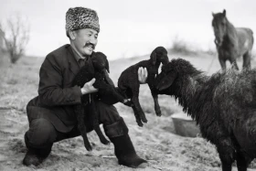 Ягнята родились - радость в ауле - фото 1