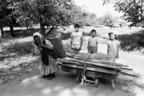 Труд — в радость: сельская улица 70-х годов - фото 1