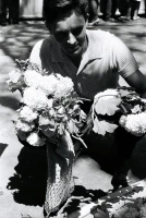 Алматы этюді: көктемгі көңіл-күй мен тюльпандарға толы 8 наурыз - фото 5