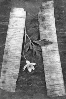 Алия Молдағұлова атындағы Ақтөбе облыстық мемориалдық музейі - фото 12