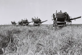 Combines in the Fields: Wheat Harvest Season - photo 1