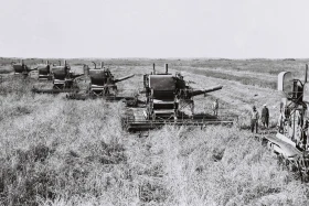 Егін даласында – комбайндар: бидай жинау науқаны - фото 2