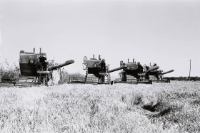 Егін даласында – комбайндар: бидай жинау науқаны - фото 3