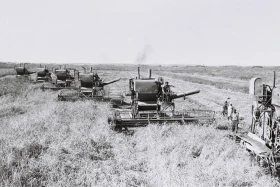 Егін даласында – комбайндар: бидай жинау науқаны - фото 4