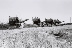 Егін даласында – комбайндар: бидай жинау науқаны - фото 5