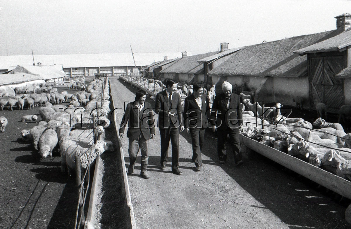 Syugaty State Farm: An Agricultural Stronghold of Almaty Region in the 1980s - photo 1