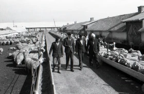 Syugaty State Farm: An Agricultural Stronghold of Almaty Region in the 1980s - photo 1