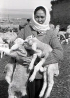 Syugaty State Farm: An Agricultural Stronghold of Almaty Region in the 1980s - photo 4