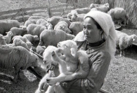 Syugaty State Farm: An Agricultural Stronghold of Almaty Region in the 1980s - photo 15