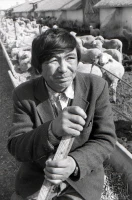 Syugaty State Farm: An Agricultural Stronghold of Almaty Region in the 1980s - photo 25