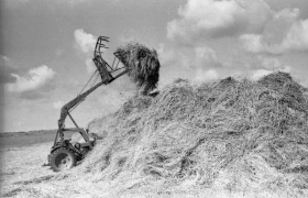 Silage in Almaty Region: Livestock Feed Preparation in the 1970s - photo 4