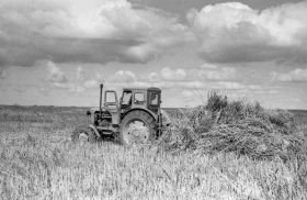 Silage in Almaty Region: Livestock Feed Preparation in the 1970s - photo 5