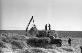 Silage in Almaty Region: Livestock Feed Preparation in the 1970s - photo 8
