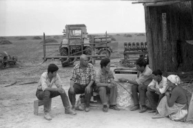 Silage in Almaty Region: Livestock Feed Preparation in the 1970s - photo 9