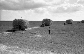 Silage in Almaty Region: Livestock Feed Preparation in the 1970s - photo 10
