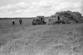 Silage in Almaty Region: Livestock Feed Preparation in the 1970s - photo 11