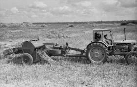 Silage in Almaty Region: Livestock Feed Preparation in the 1970s - photo 13