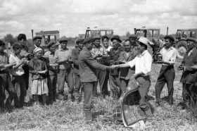 Silage in Almaty Region: Livestock Feed Preparation in the 1970s - photo 14
