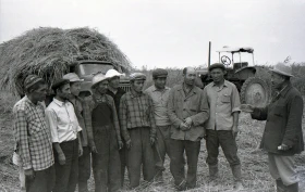 Silage in Almaty Region: Livestock Feed Preparation in the 1970s - photo 15