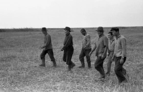 Silage in Almaty Region: Livestock Feed Preparation in the 1970s - photo 16