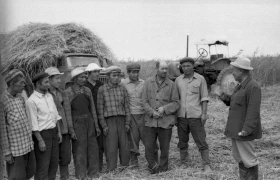Silage in Almaty Region: Livestock Feed Preparation in the 1970s - photo 17