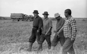 Silage in Almaty Region: Livestock Feed Preparation in the 1970s - photo 20