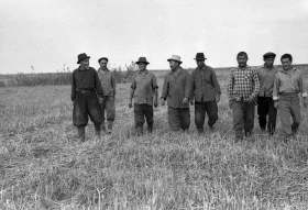 Silage in Almaty Region: Livestock Feed Preparation in the 1970s - photo 23