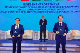 Samruk-Kazyna Fund signs new energy and digital transformation agreements within Central Asia - China Forum - photo 1