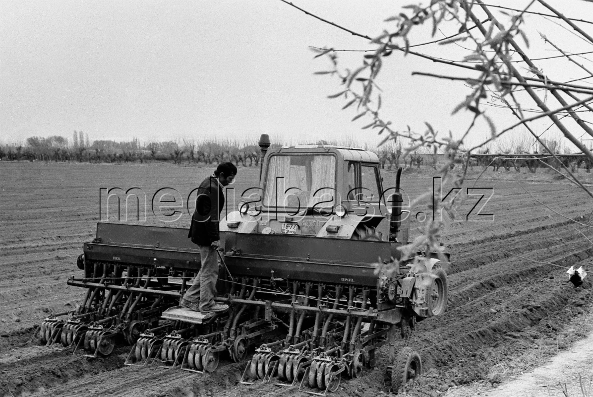 Nukus Agro Power: Cotton Peak and Ecological Threshold - photo 1