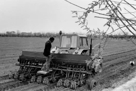 Nukus Agro Power: Cotton Peak and Ecological Threshold - photo 1