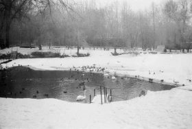 1980-жылдардағы Алматы хайуанаттар бағы: даму кезеңі, сирек аңдар және жаңа қоршаулар - фото 4