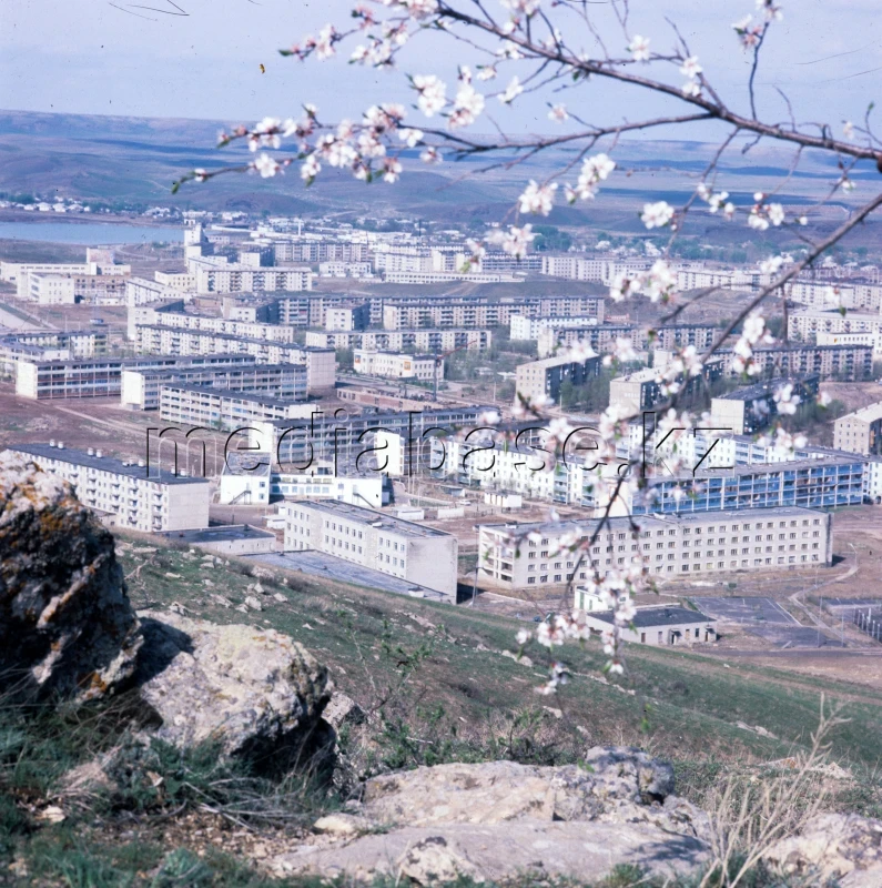 Қаратаудың көктемі - фото 1