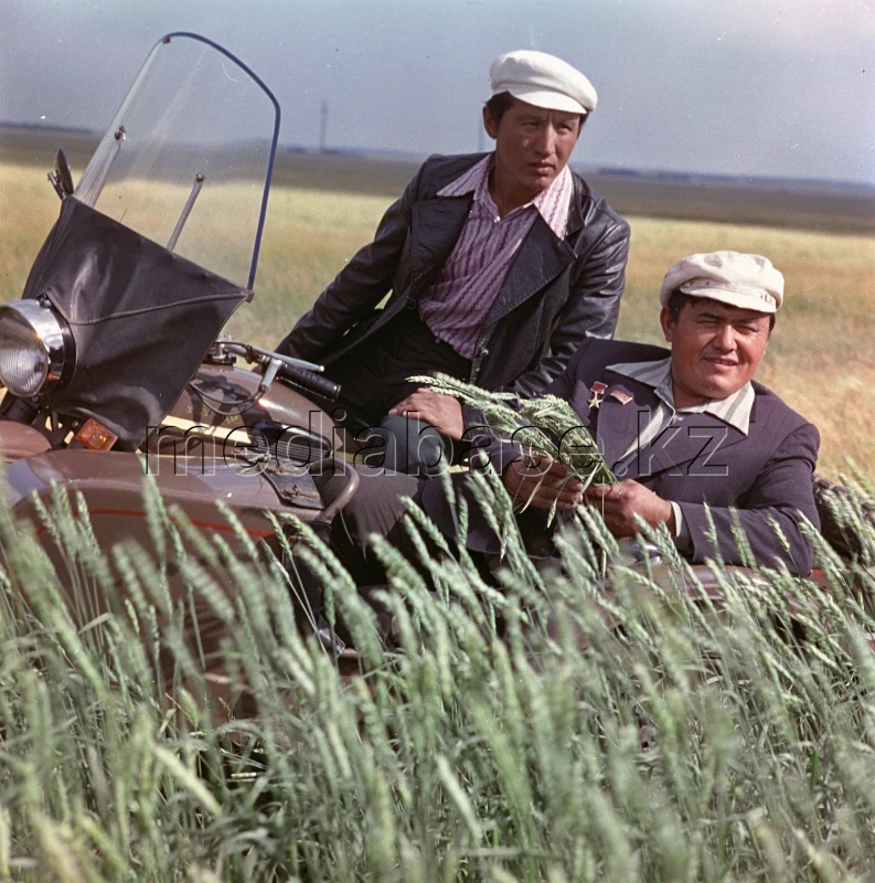 Первоцелинник Алтай - фото 1