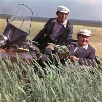 Первоцелинник Алтай - фото 1