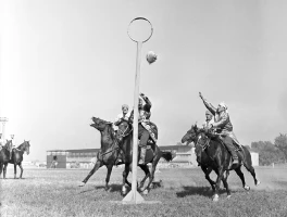 Конный баскетбол - фото 1