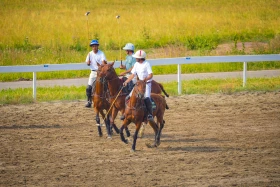 «Іли аспан жылқылары» мәдени-туристік фестивалі - фото 16