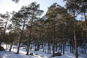 Бурабайдың қысқы ертегісі - фото 4