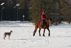 Бурабайдың қысқы ертегісі - фото 7