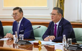 Жапония Қазақстанда ірі инвестор елдердің ондығына кіреді — Мұрат Нұртілеу - фото 6