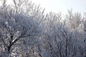 Бурабайдың қысқы ертегісі - фото 14