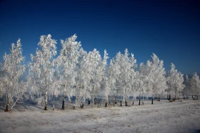 Бурабайдың қысқы ертегісі - фото 17