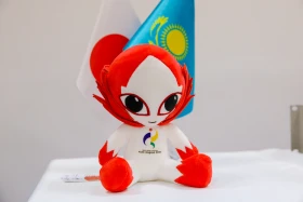 Kazakhstan targets medals in boxing and swimming at 2026 Asian Summer Games - photo 4